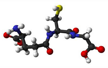молекула глутатиона