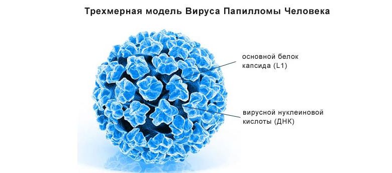 papiloma virus pozitiv human papillomavirus base of tongue cancer